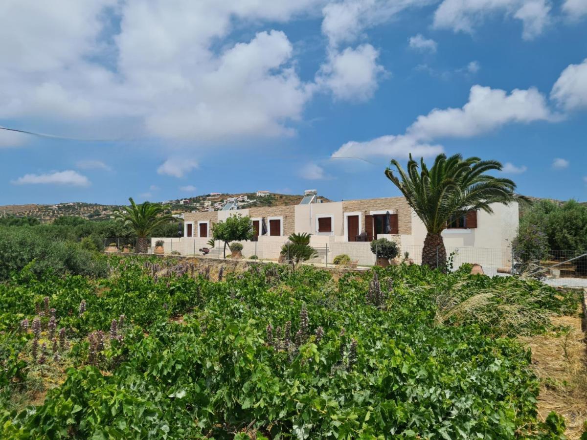 Olivar Apartment