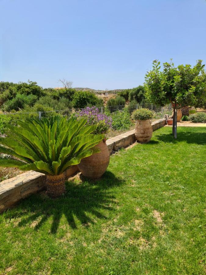 Olivar Apartment