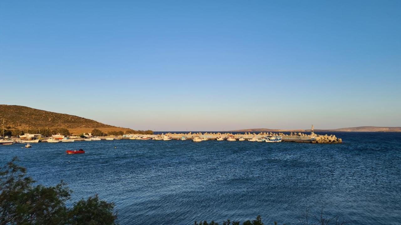 Olivar