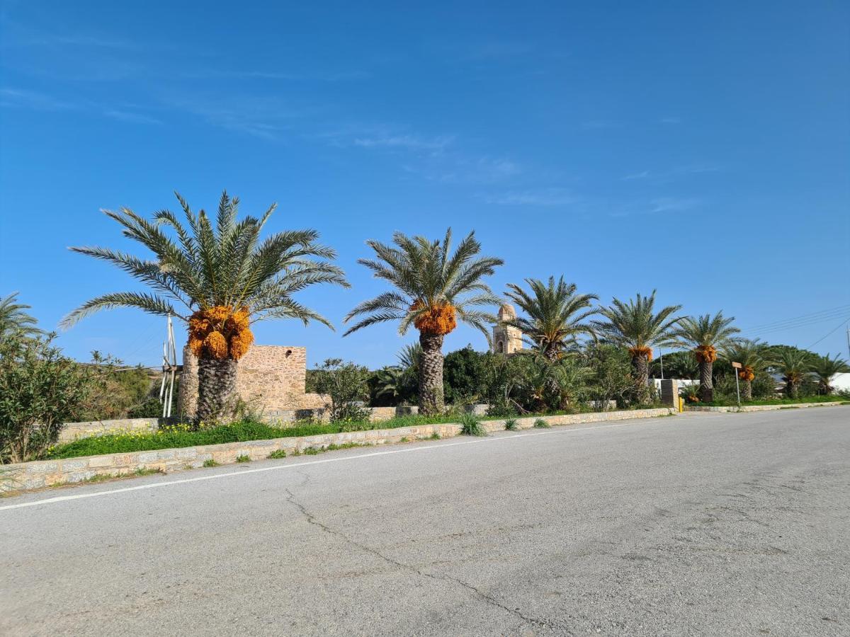 Olivar Palekastro